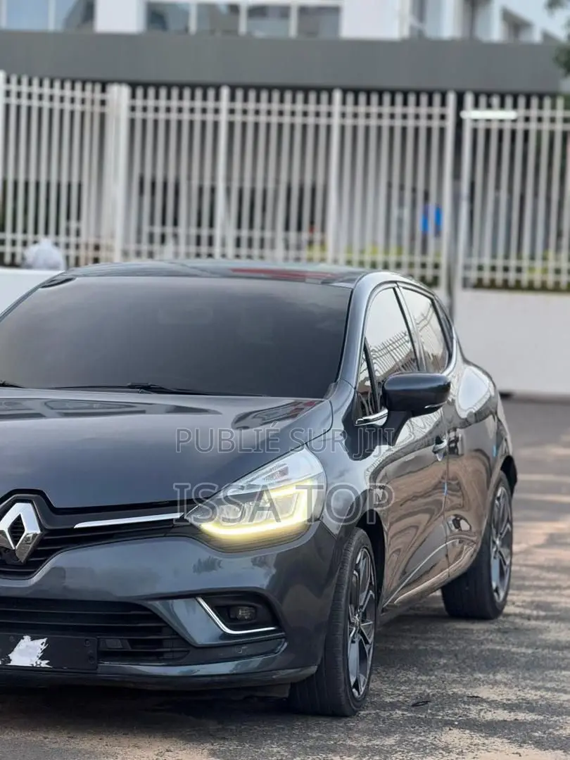 Renault Clio 2019 Gris