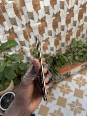 Apple iPhone XS Max 256 GB Doré