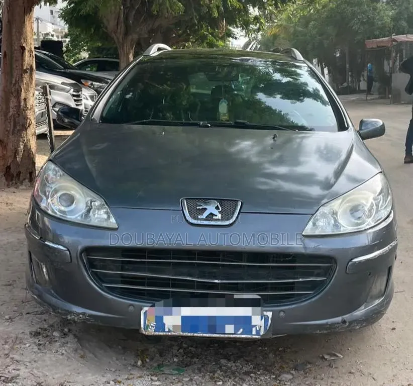 Peugeot 407 2006 Gris