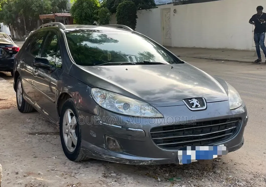 Peugeot 407 2006 Gris
