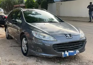 Peugeot 407 2006 Gris