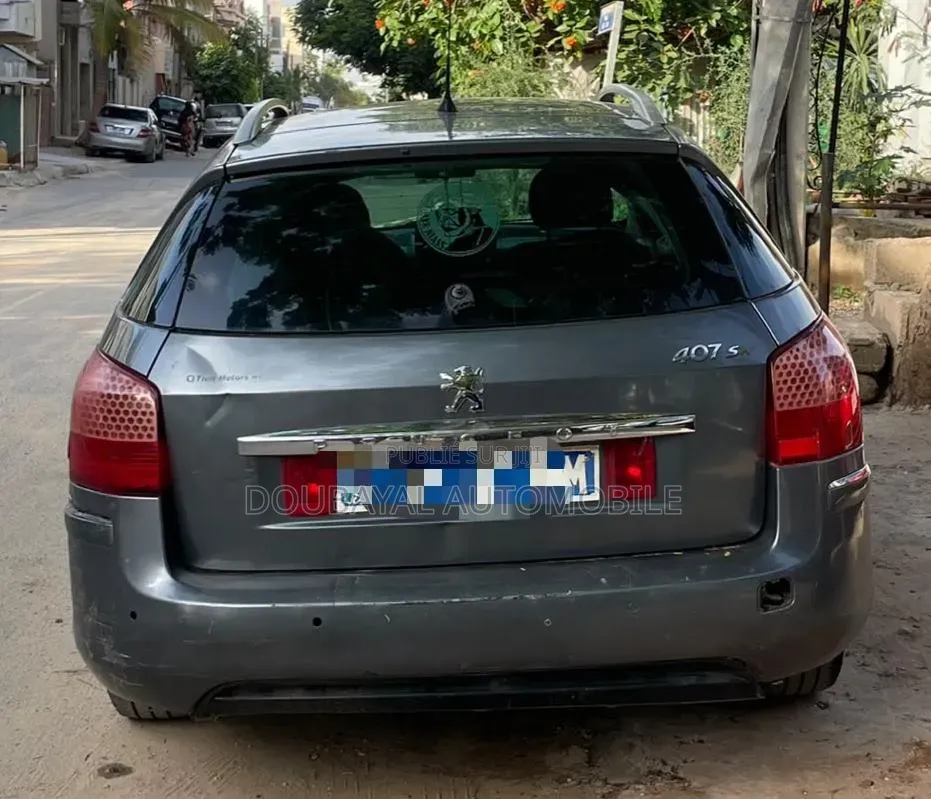 Peugeot 407 2006 Gris