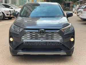Toyota RAV4 2020 Gris