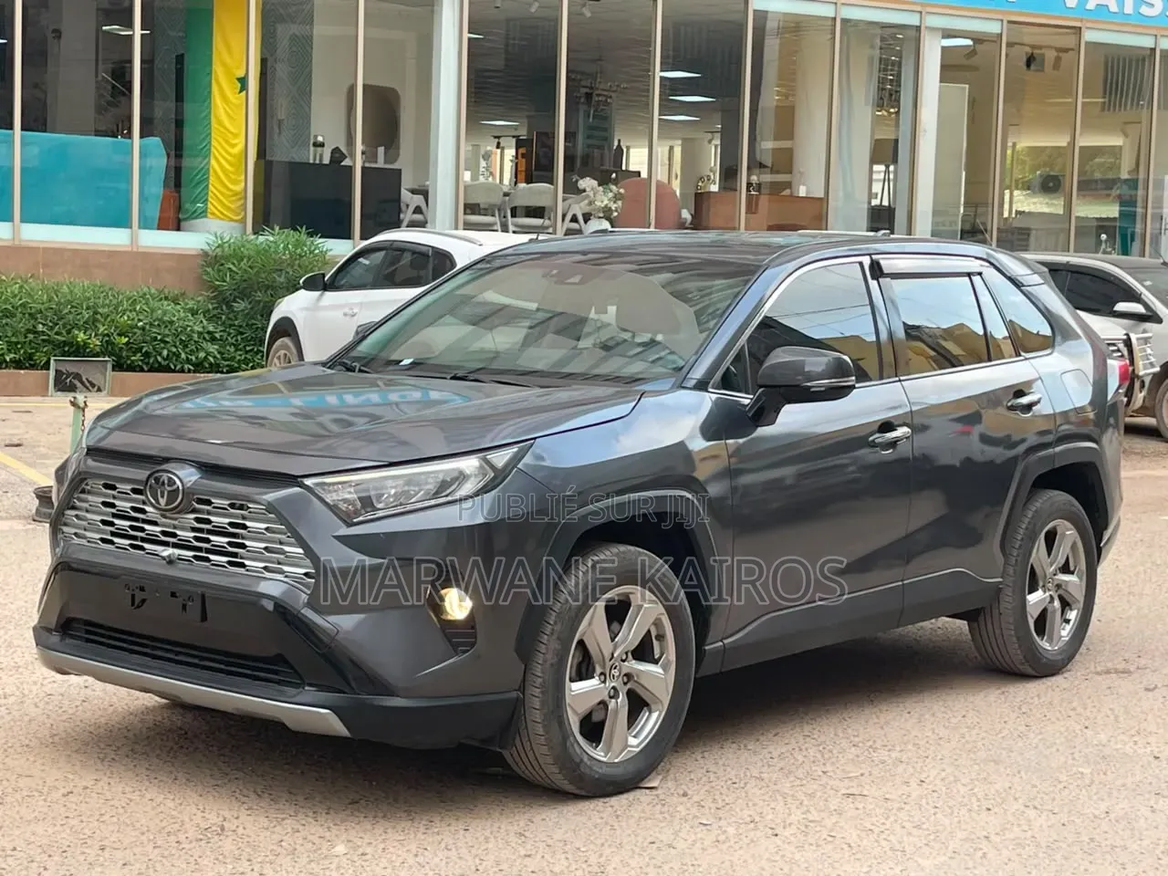 Toyota RAV4 2020 Gris