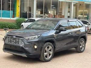 Toyota RAV4 2020 Gris