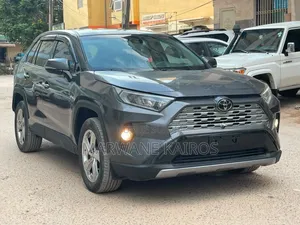 Toyota RAV4 2020 Gris