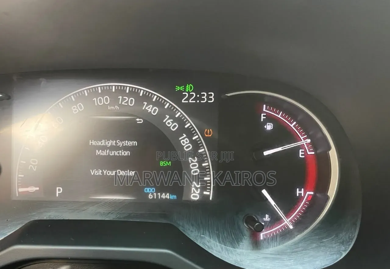 Toyota RAV4 2020 Gris