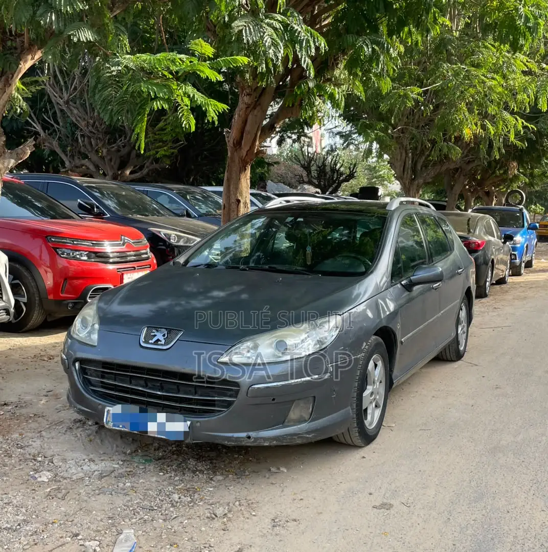 Peugeot 407 2006 Bleu