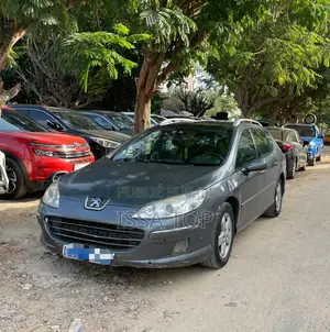 Peugeot 407 2006 Bleu