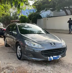 Peugeot 407 2006 Bleu