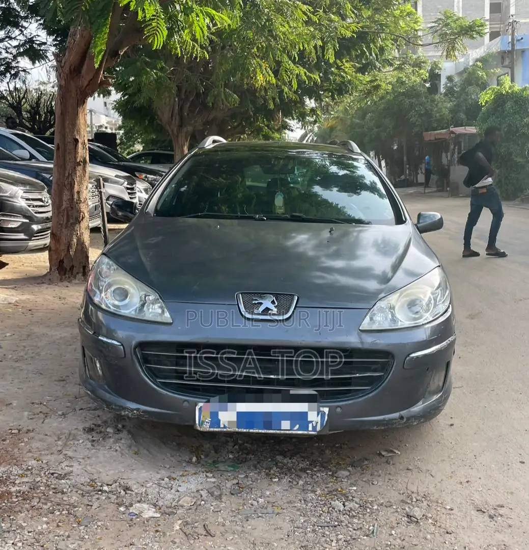 Peugeot 407 2006 Bleu