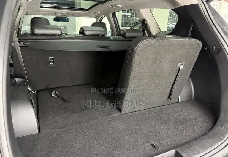 Hyundai Santa Fe 2019 Gris