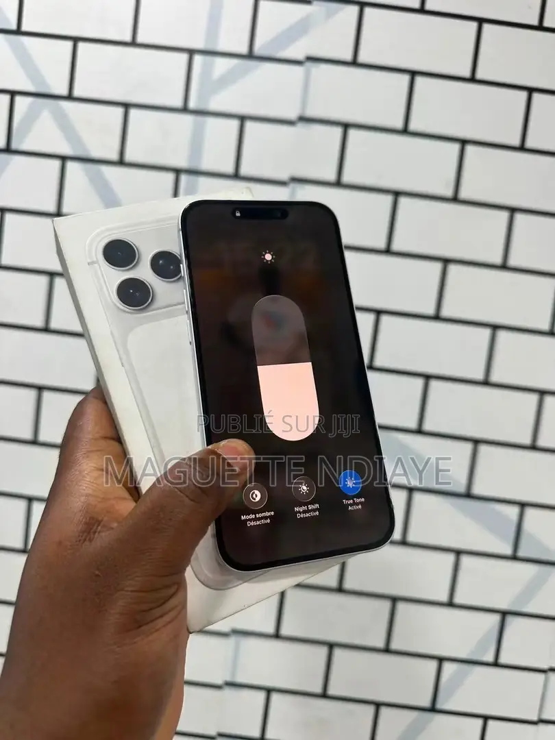 Nouveau Apple iPhone 17 Pro Max 512 GB Gris