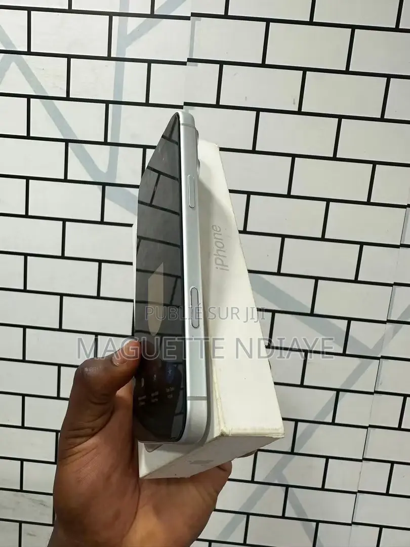 Nouveau Apple iPhone 17 Pro Max 512 GB Gris