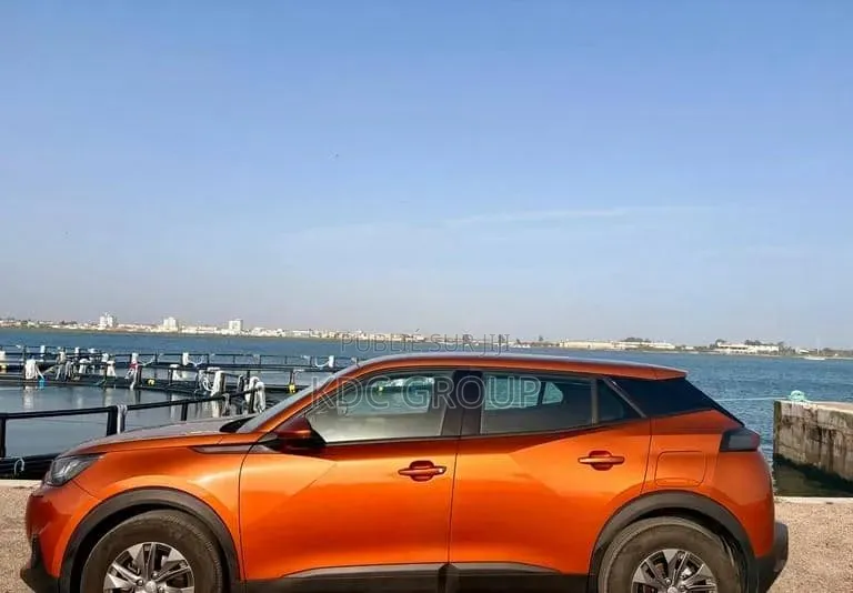 Peugeot 2008 2020 Orange