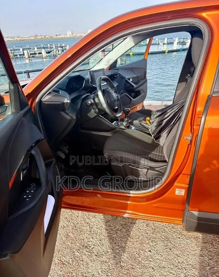 Peugeot 2008 2020 Orange