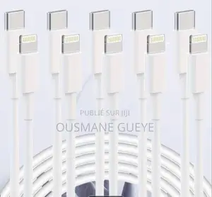 Câble Type C De Longueur 2m Protecteur De Câble Offert