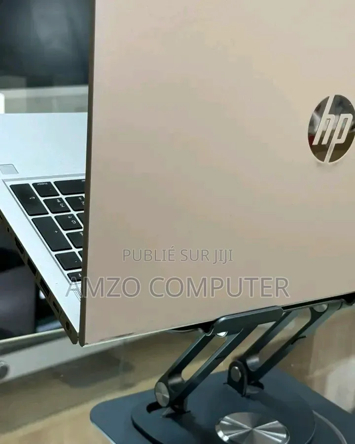 Ordinateur portable HP ProBook 455 16GB AMD Ryzen 5 SSD 256GB
