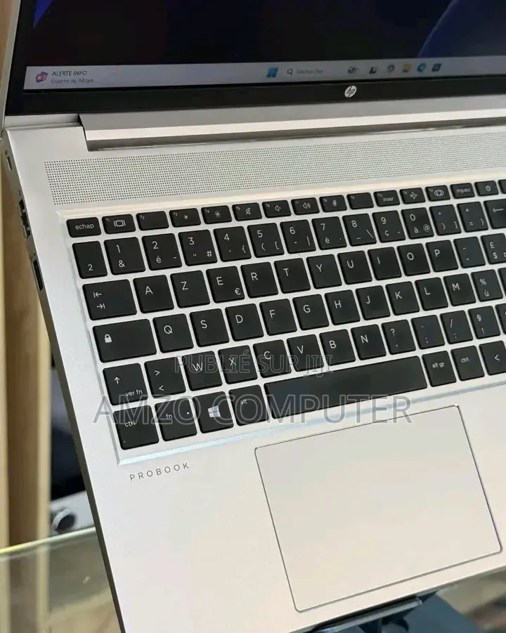 Ordinateur portable HP ProBook 455 16GB AMD Ryzen 5 SSD 256GB