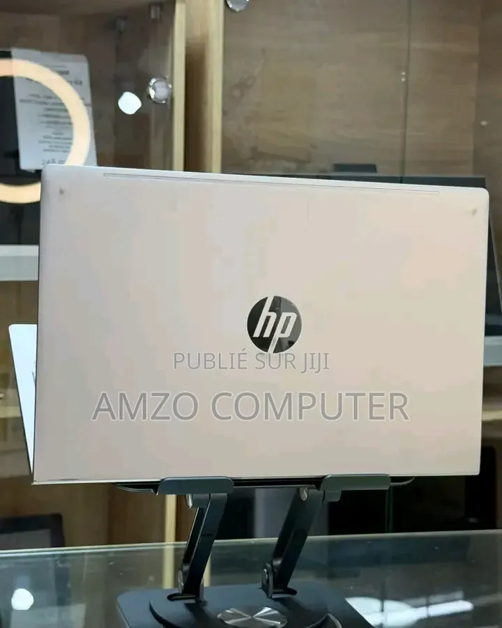Ordinateur portable HP ProBook 455 16GB AMD Ryzen 5 SSD 256GB