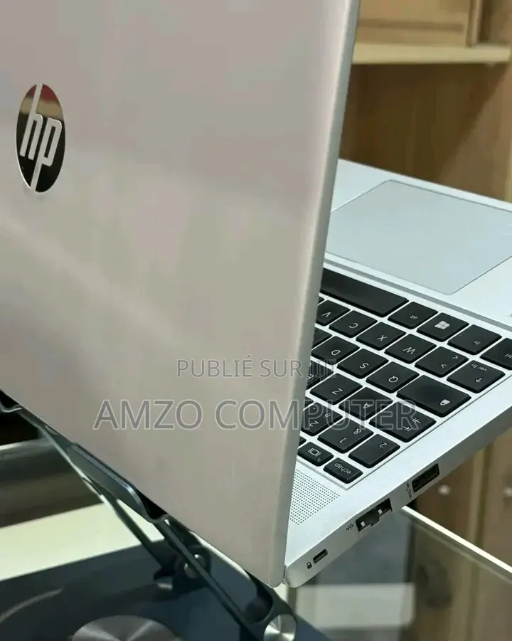 Ordinateur portable HP ProBook 455 16GB AMD Ryzen 5 SSD 256GB