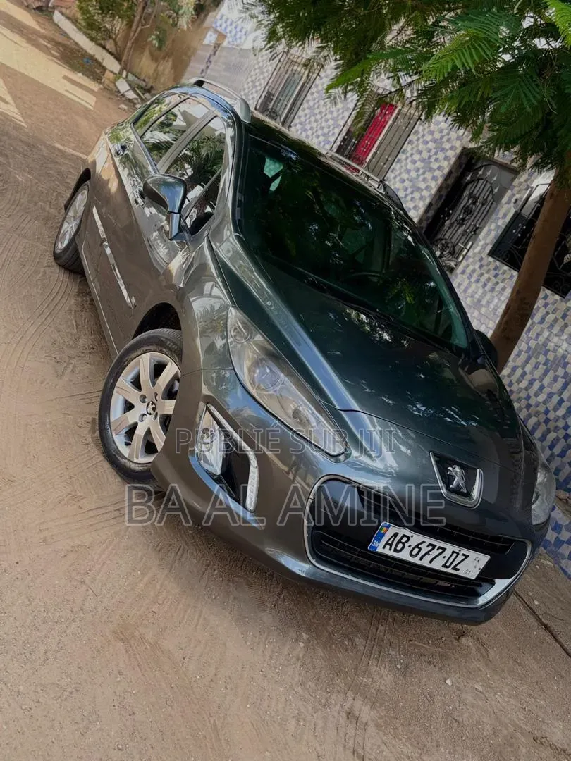 Peugeot 308 2013 Gris