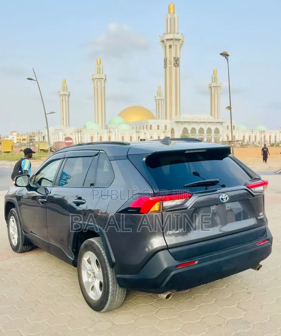 Toyota RAV4 2021 Gris
