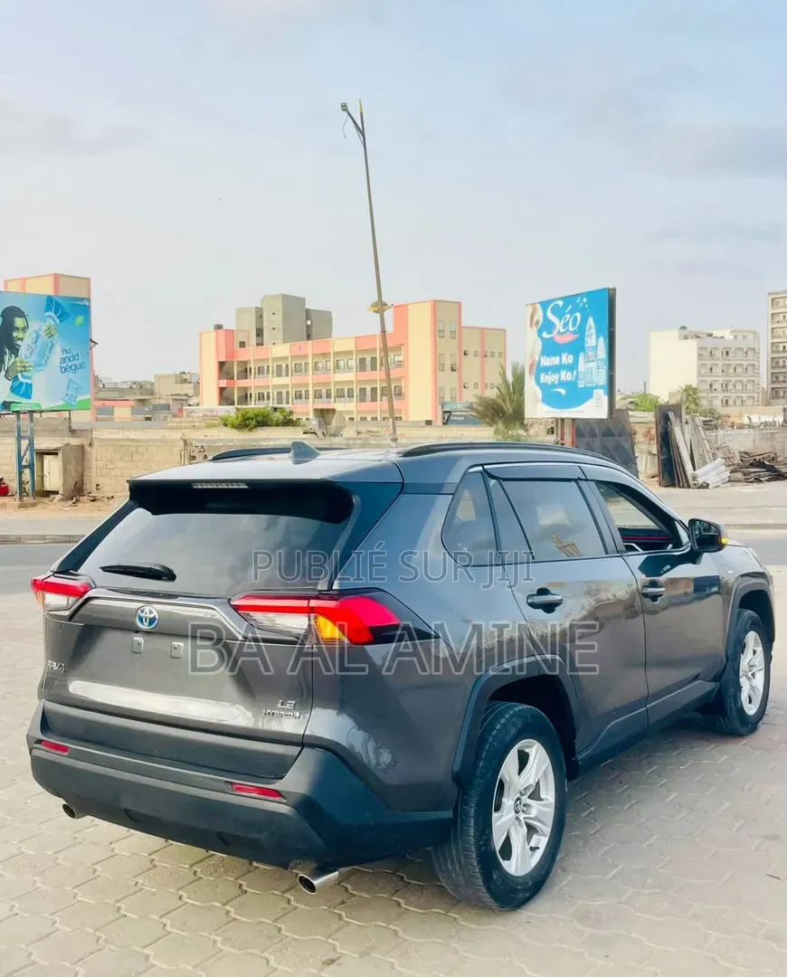 Toyota RAV4 2021 Gris