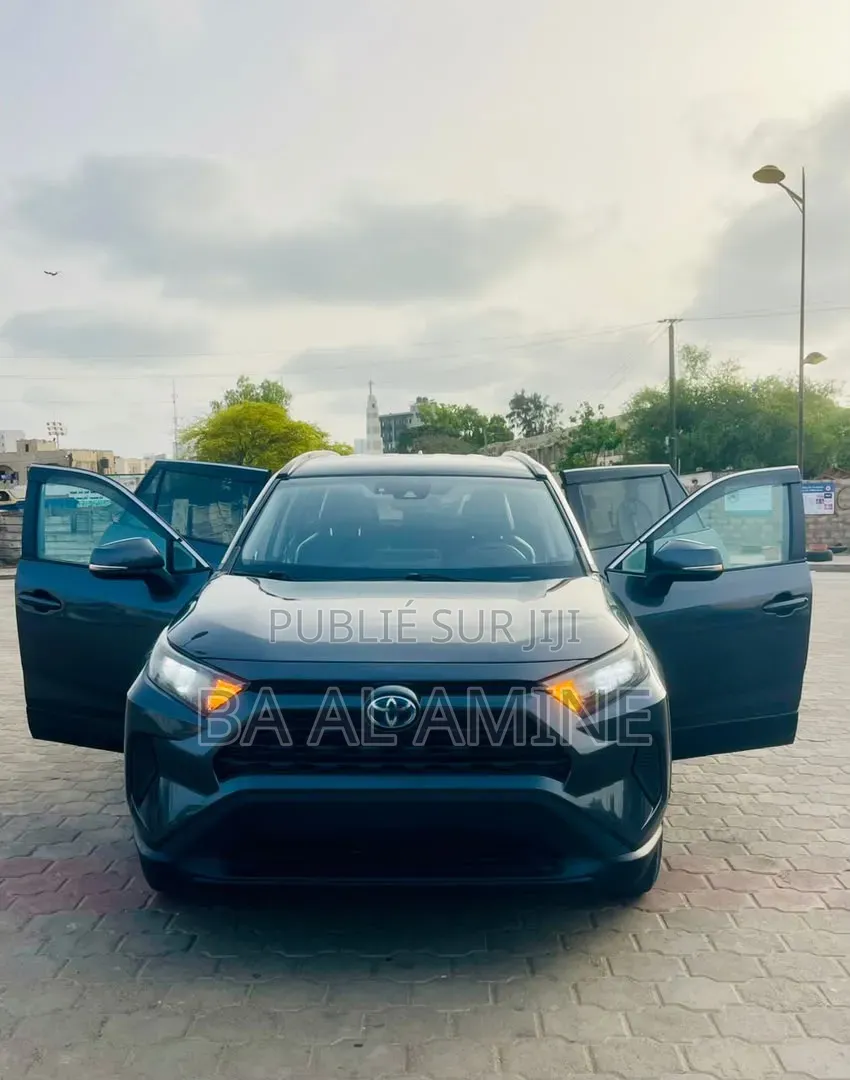Toyota RAV4 2021 Gris