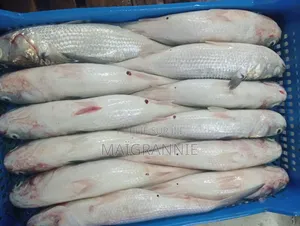Poisson Frais