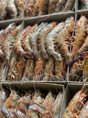 Poisson Frais