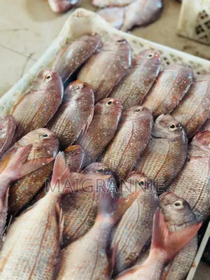 Poisson Frais