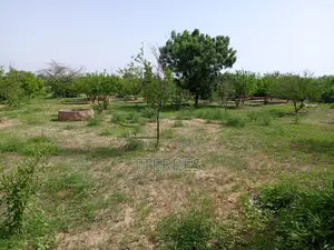 Verger De 1,38 Hectare Vers Thiéppe - Kébémer
