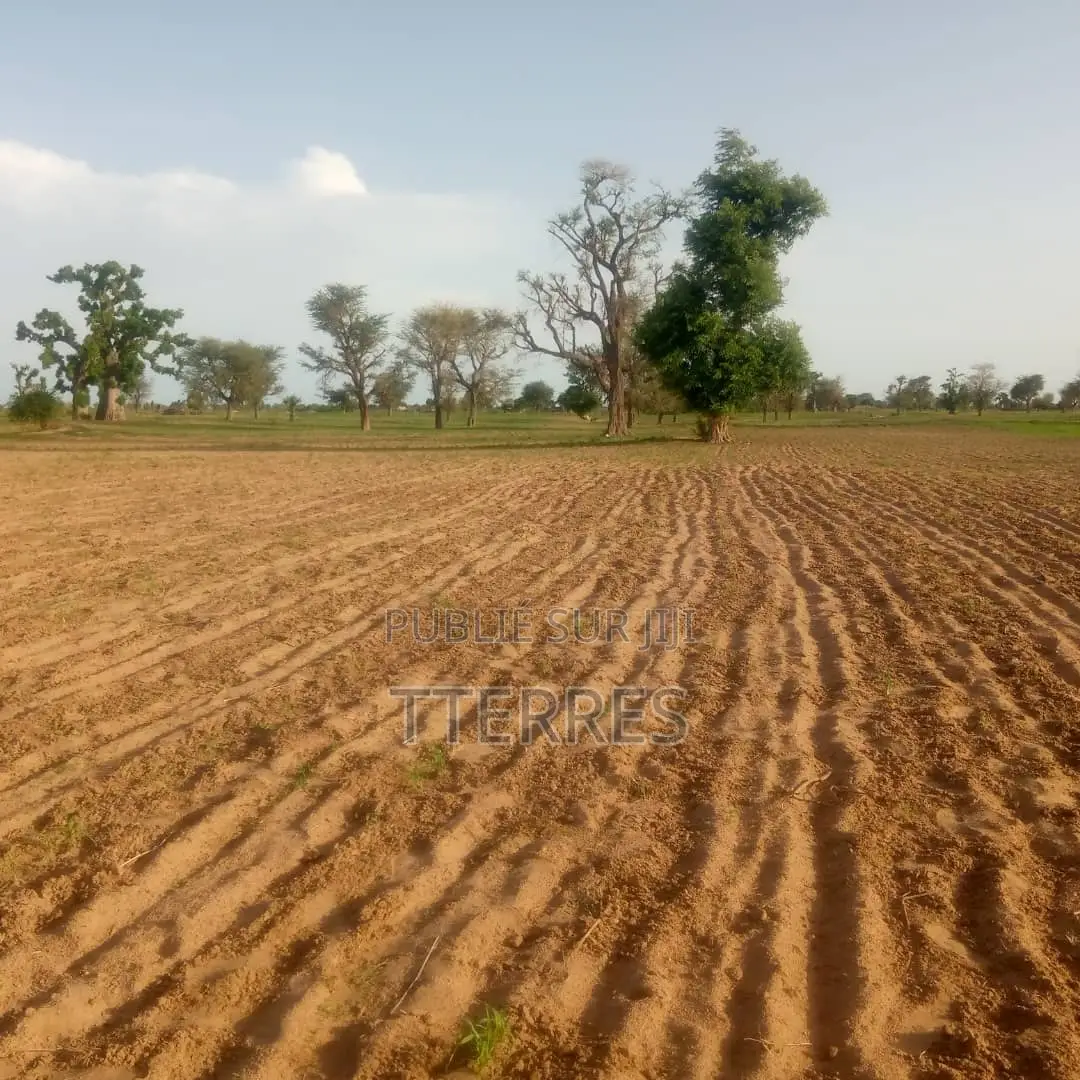 Terre Agricole De 1,5 Hectare À 5km De Sésséne - Mbour