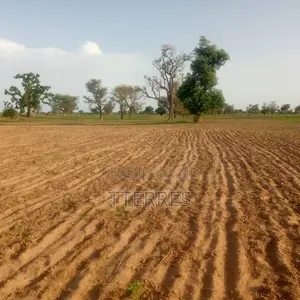 Terre Agricole De 1,5 Hectare À 5km De Sésséne - Mbour