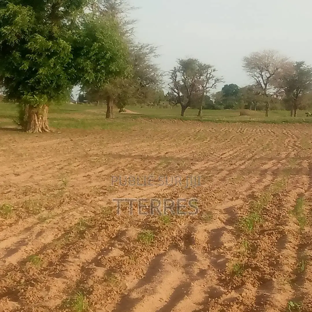 Terre Agricole De 1,5 Hectare À 5km De Sésséne - Mbour