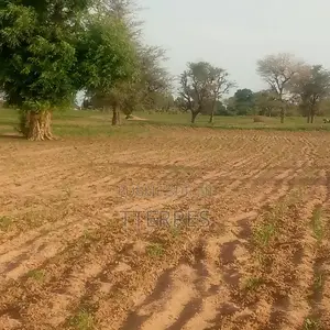 Terre Agricole De 1,5 Hectare À 5km De Sésséne - Mbour