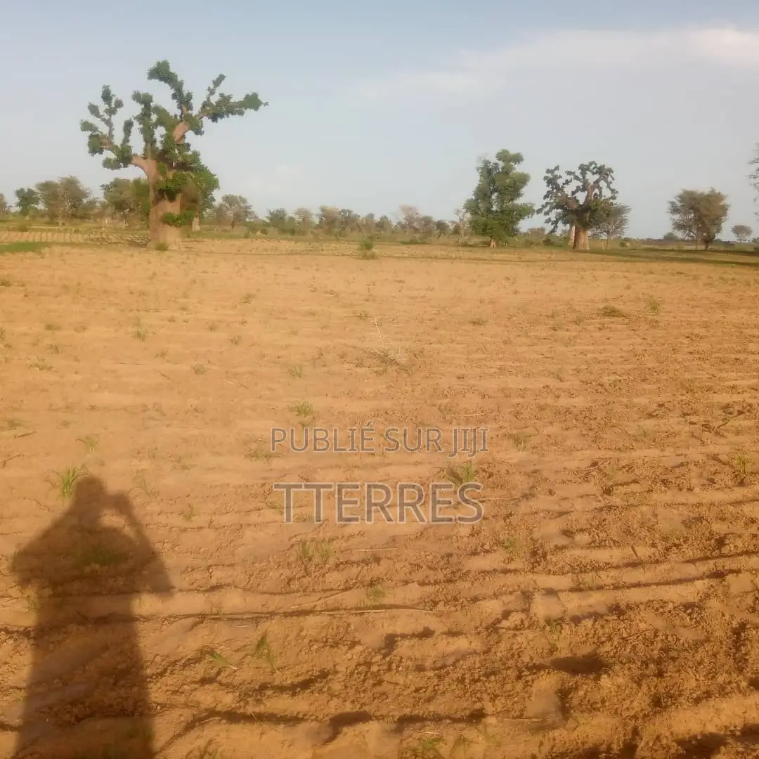 Terre Agricole De 1,5 Hectare À 5km De Sésséne - Mbour