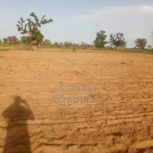 Terre Agricole De 1,5 Hectare À 5km De Sésséne - Mbour