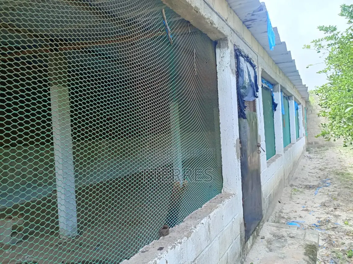 Petite Ferme De 300 M2 À Déni Biram Ndao - Bambilor