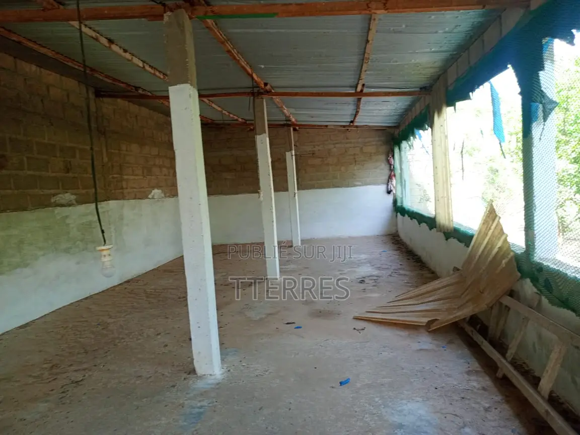 Petite Ferme De 300 M2 À Déni Biram Ndao - Bambilor
