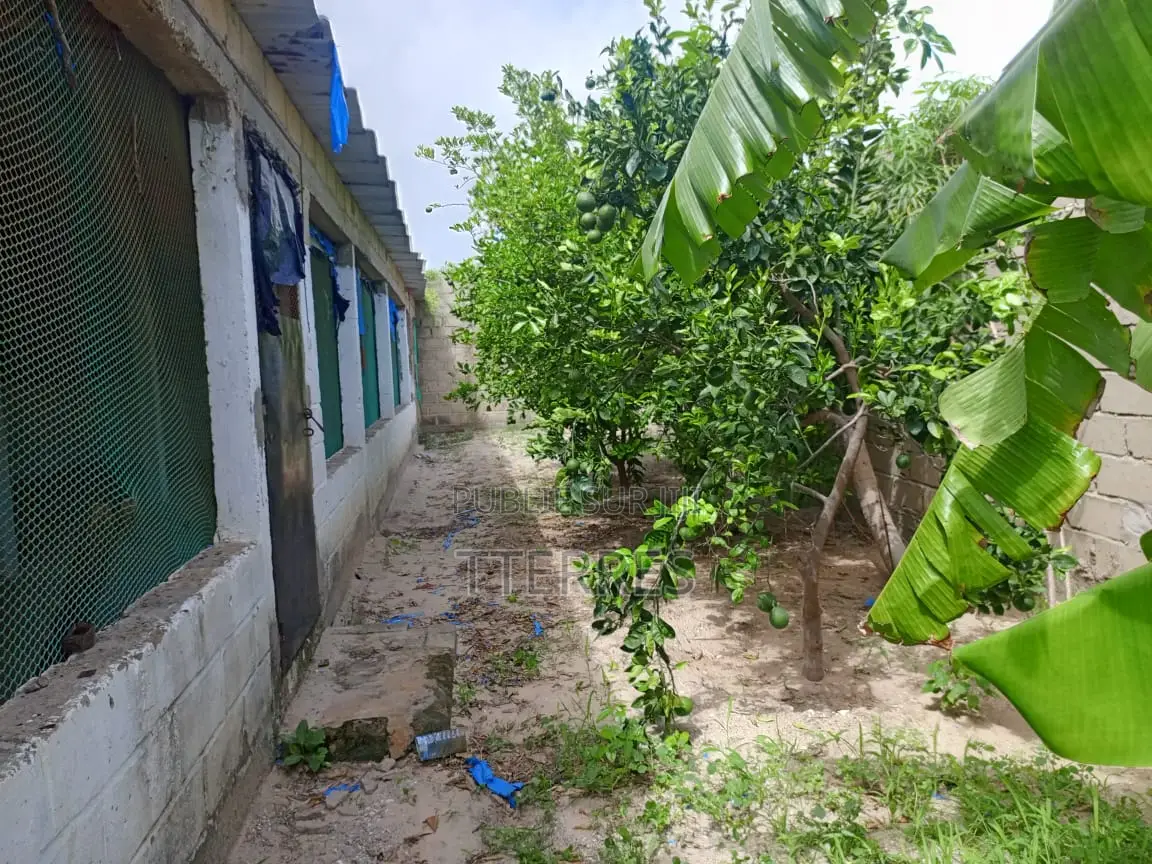 Petite Ferme De 300 M2 À Déni Biram Ndao - Bambilor