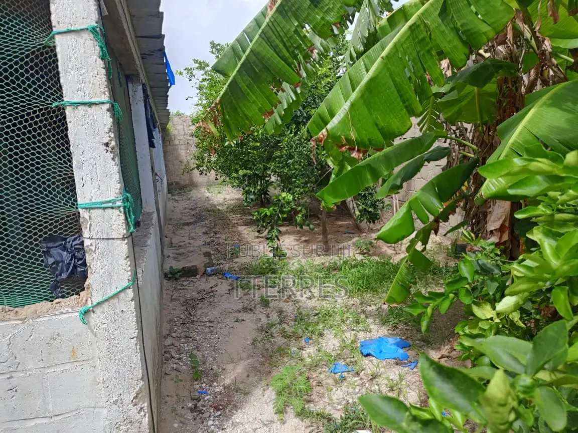 Petite Ferme De 300 M2 À Déni Biram Ndao - Bambilor