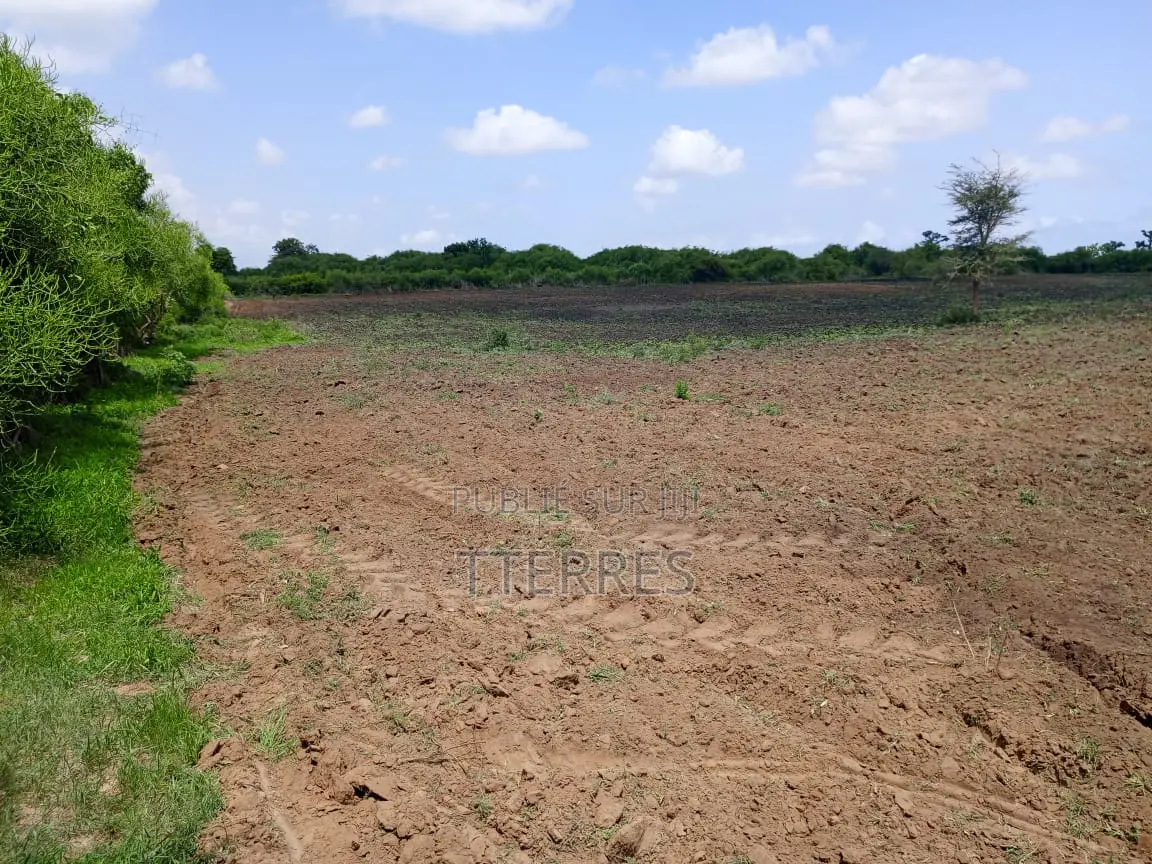 10800 M2 Excellent Pour Projet Résidentiel À Diamniadio