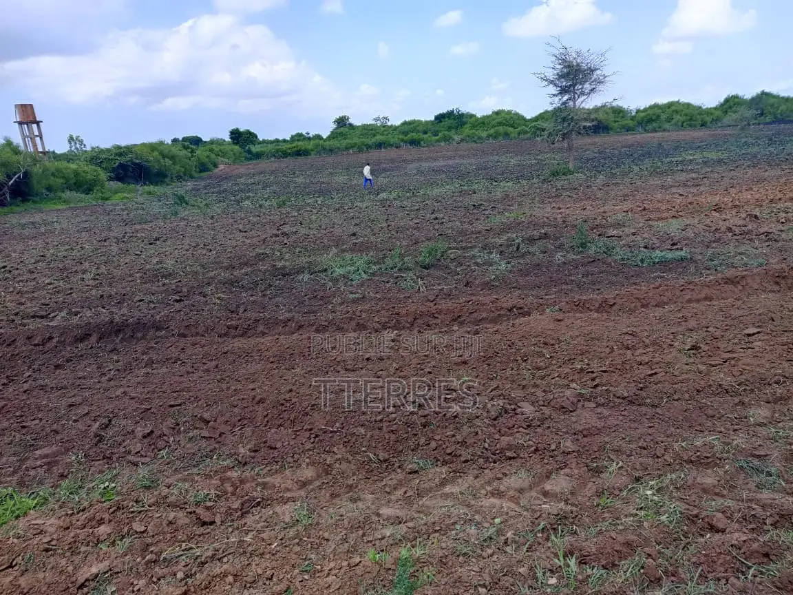 10800 M2 Excellent Pour Projet Résidentiel À Diamniadio