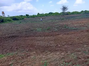 10800 M2 Excellent Pour Projet Résidentiel À Diamniadio