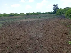 10800 M2 Excellent Pour Projet Résidentiel À Diamniadio
