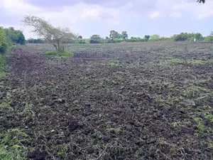10800 M2 Excellent Pour Projet Résidentiel À Diamniadio
