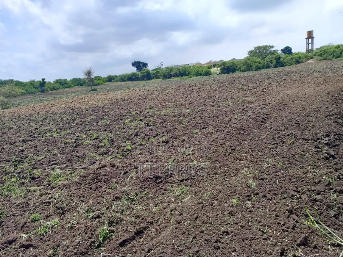10800 M2 Excellent Pour Projet Résidentiel À Diamniadio