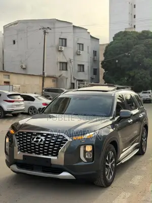 Hyundai Palissade 2019 Gris